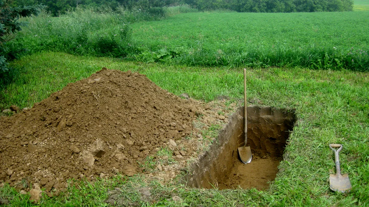 Is There Really a Wave of Tranny-Killing?