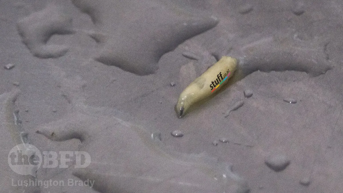 Stuff and White Snakes in the Grass