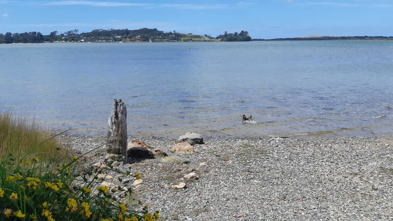 Northland Regional Council Kills Off Much Anticipated Wharf