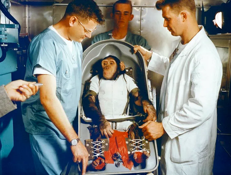 Apes, Robots and Men: The Life and Death of the First Space Chimp