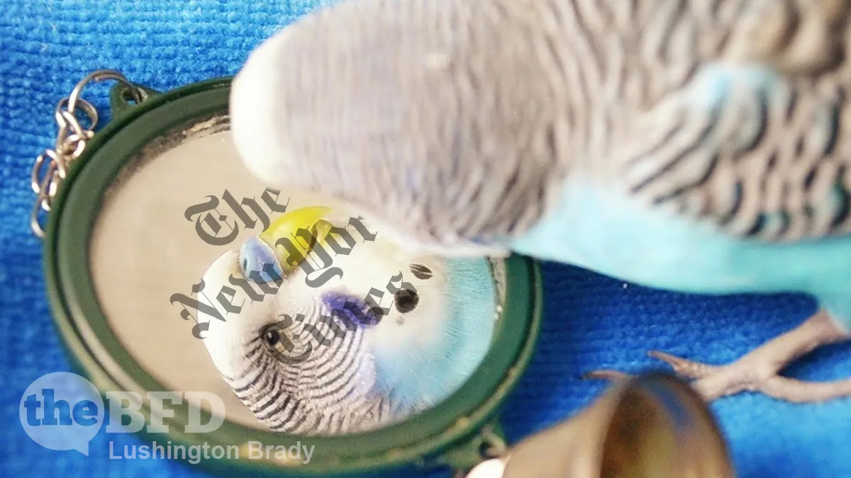 NYT Shouts at the Mirror