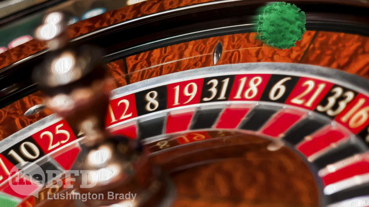 NZ’s Dumb Luck Runs Out