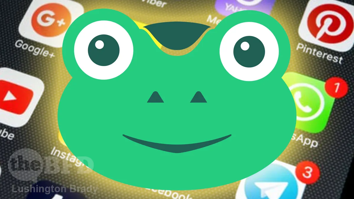 “This Is Our Moment to Shine”