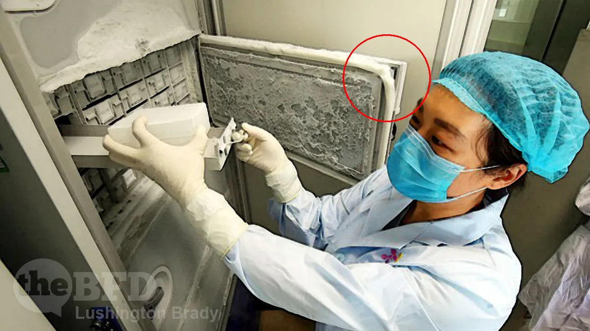 On the Trail of Covid Part 5