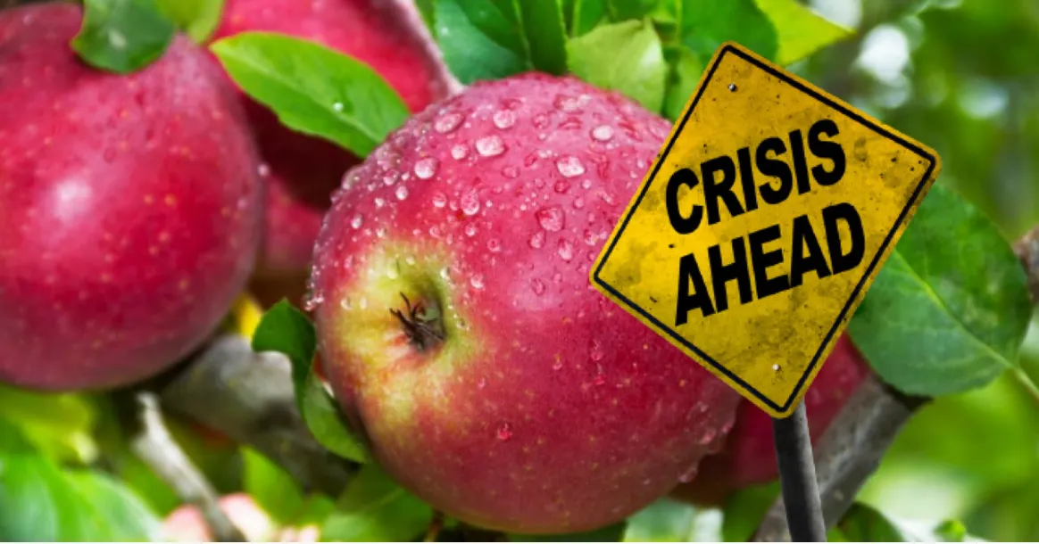 Government Mustn’t Let Rotten Apple Pile Get Higher