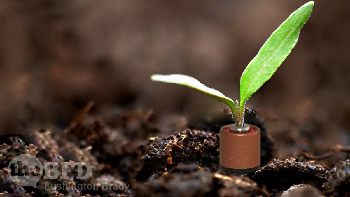 Using Batteries to Make Plants Grow