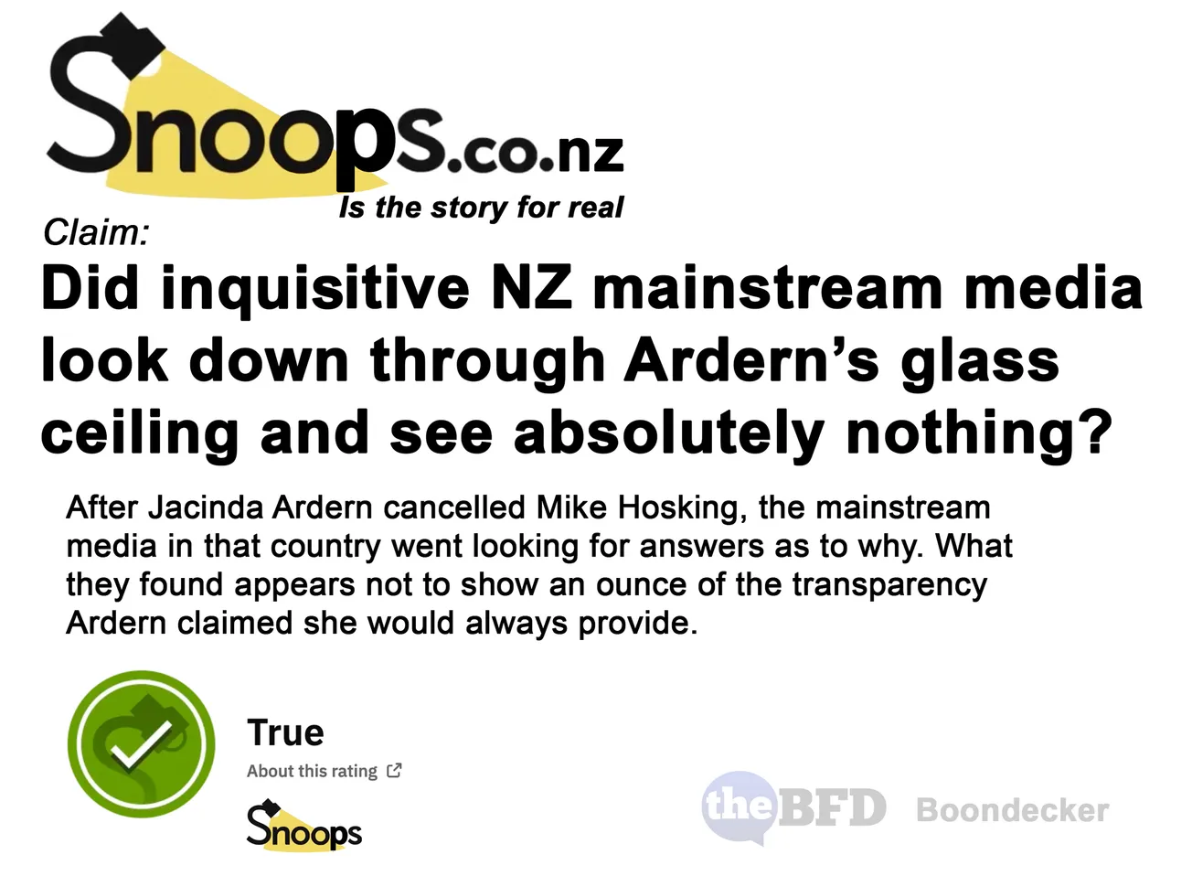 Snoops.co.nz