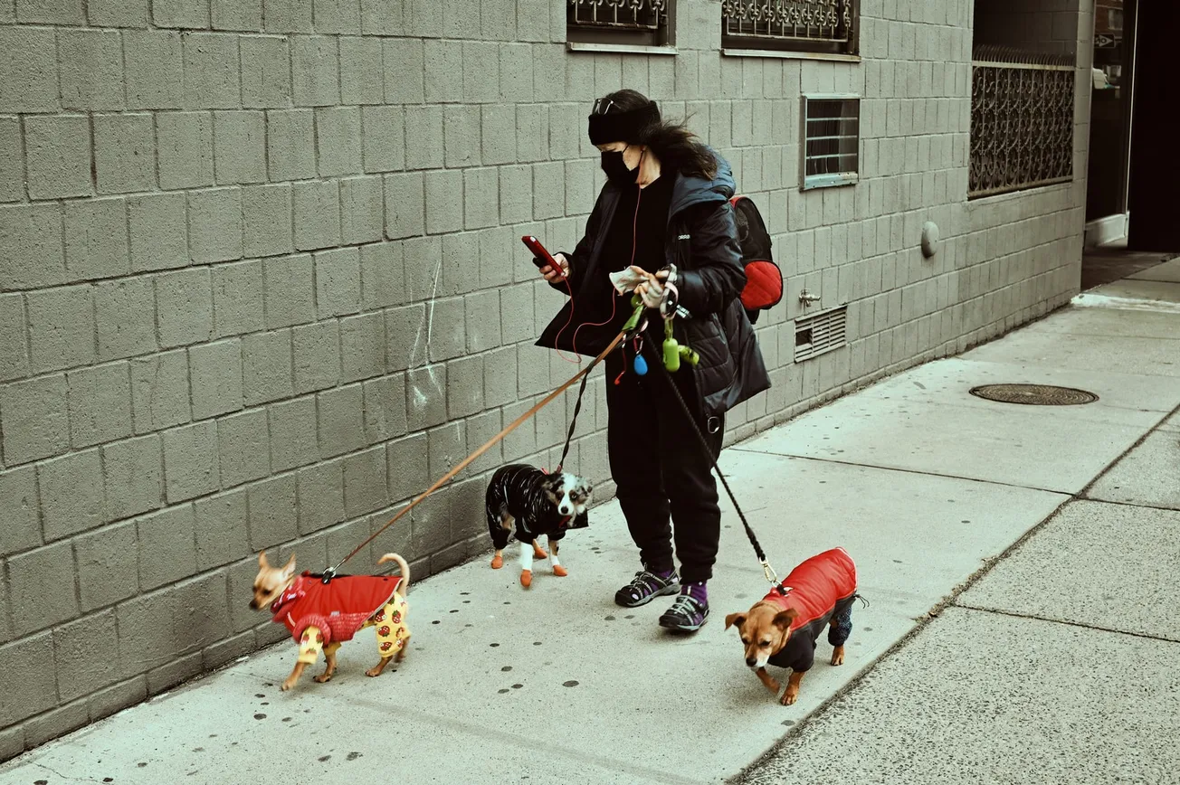 woman in black jacket and black pants holding black and white short coated dog