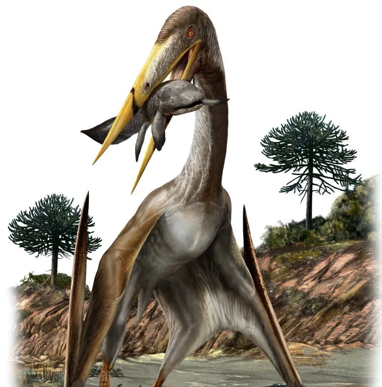 Largest Ever Flying Creatures Had Longer Necks Than Giraffes – We Found Out How These Pterosaurs Kept Their Heads Up