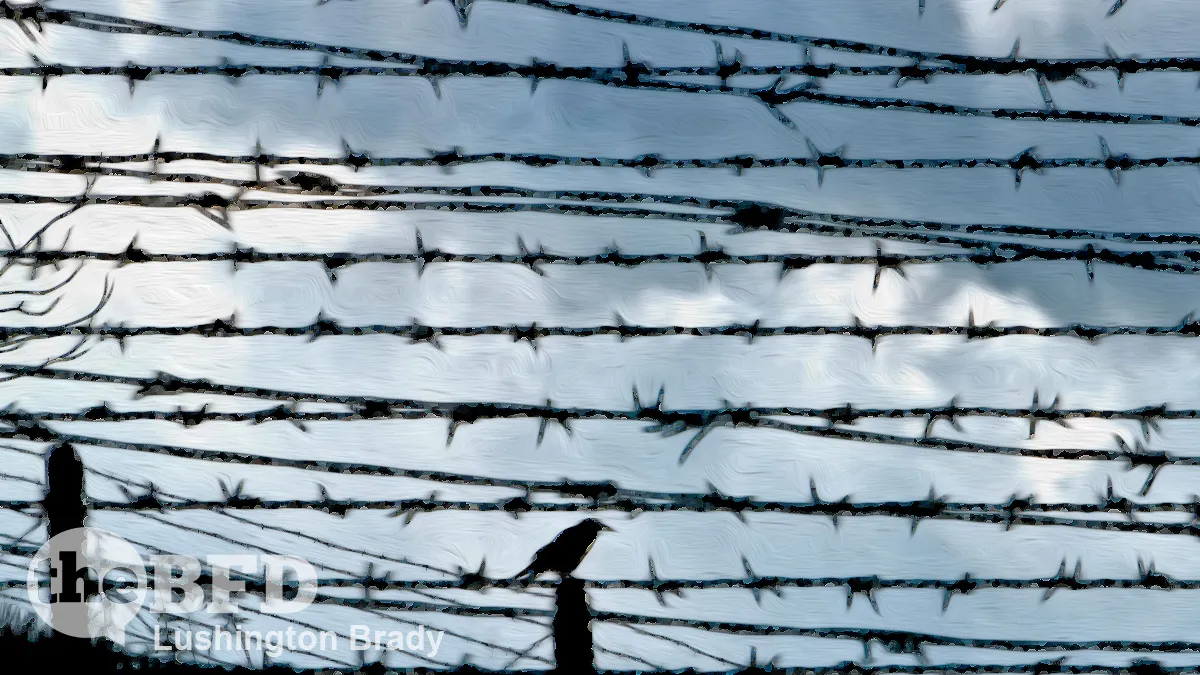 The Normalization of the New Normal Reich