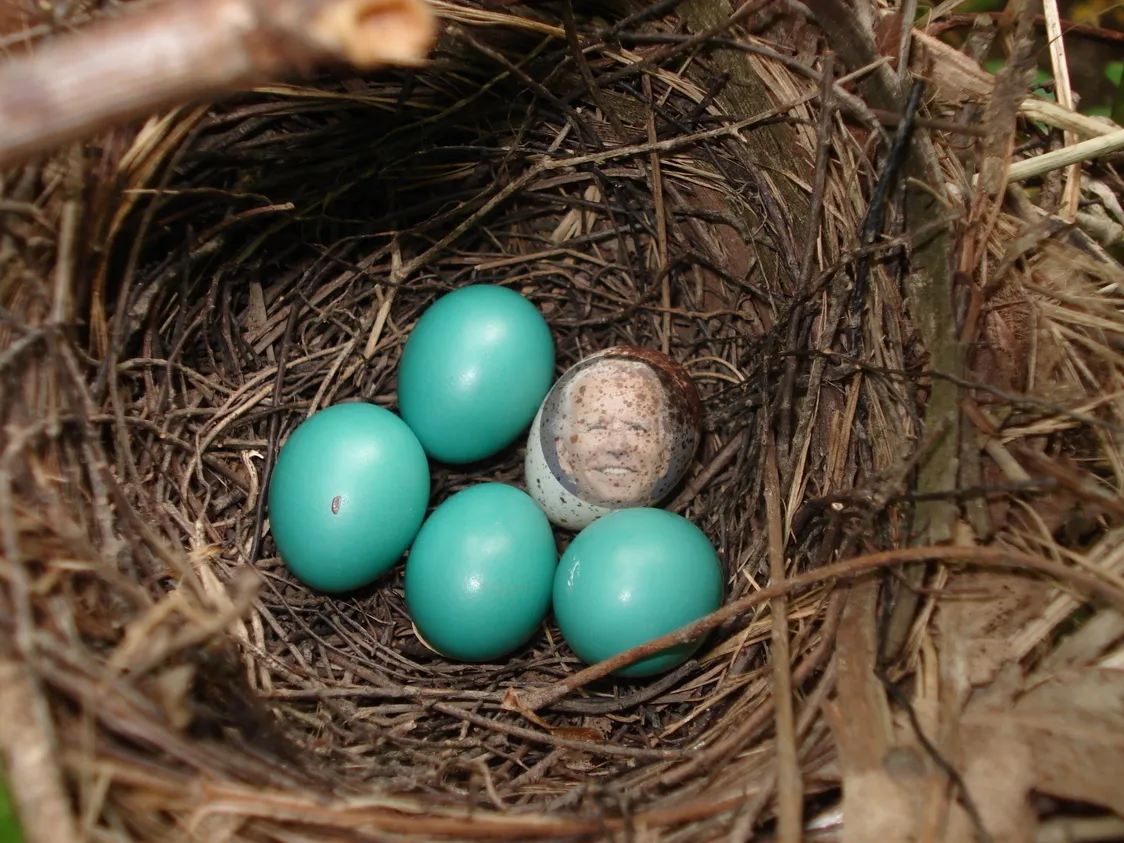 What’s Got into the ‘Herald on Sunday’?