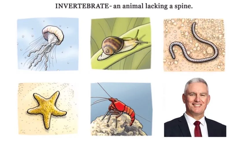 Satirical Image of the Day