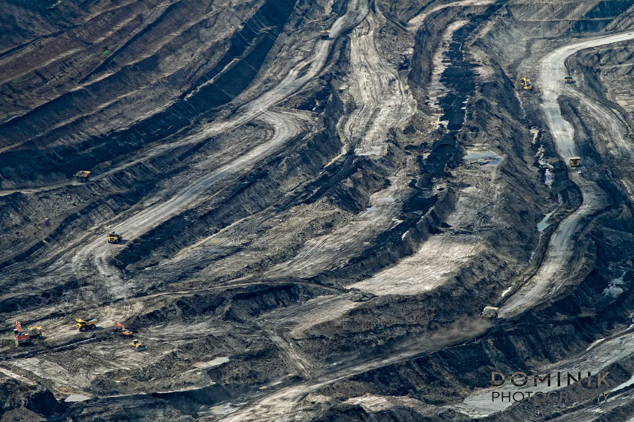 Is Coal Really Dead?