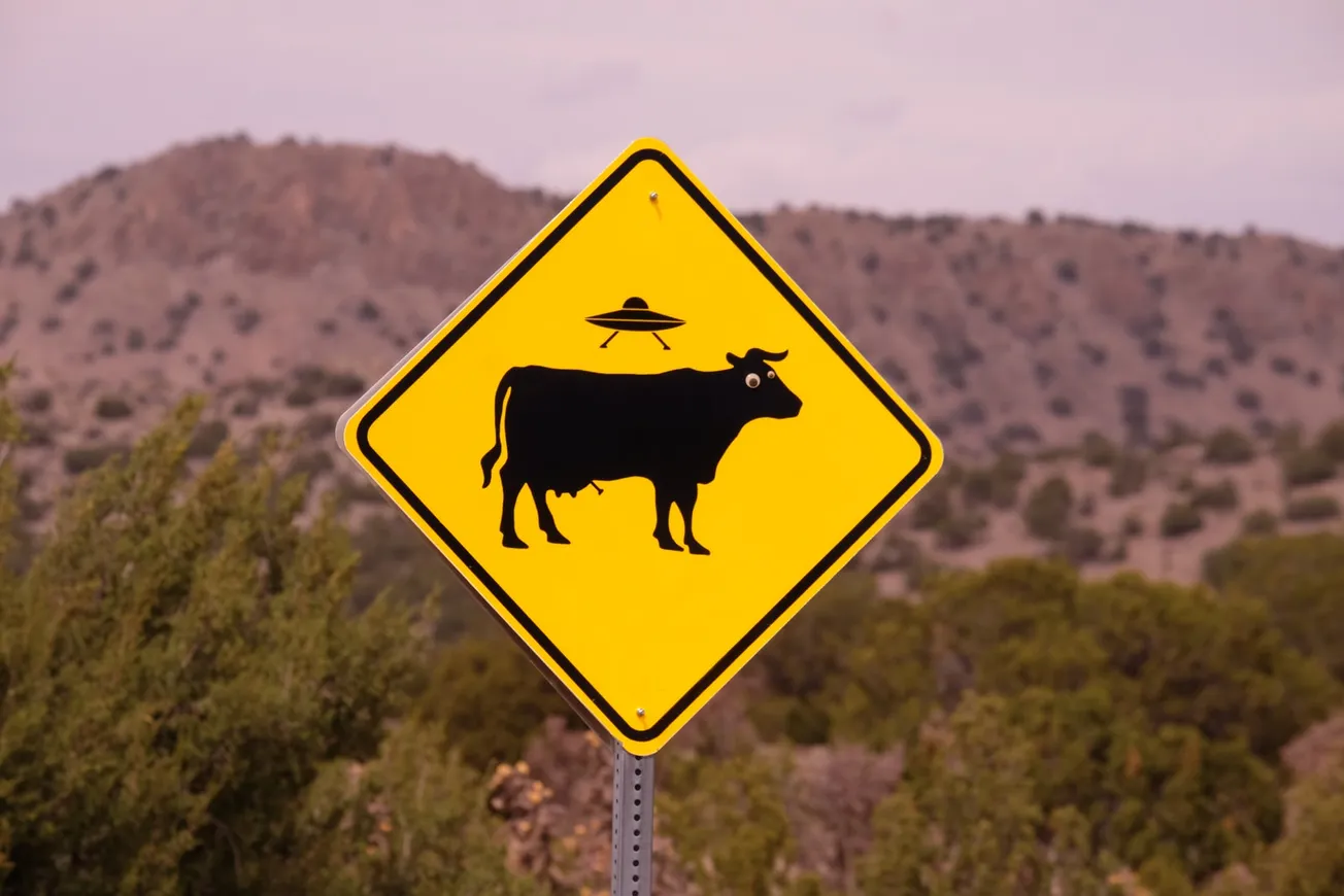 no bull road sign