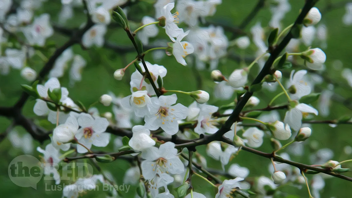 The Return of Virtue