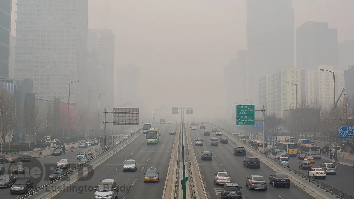 The Sooty, 1000-lb Panda in the Room