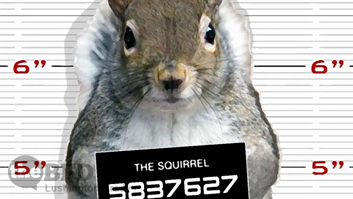 Your Pistachios or Your Life