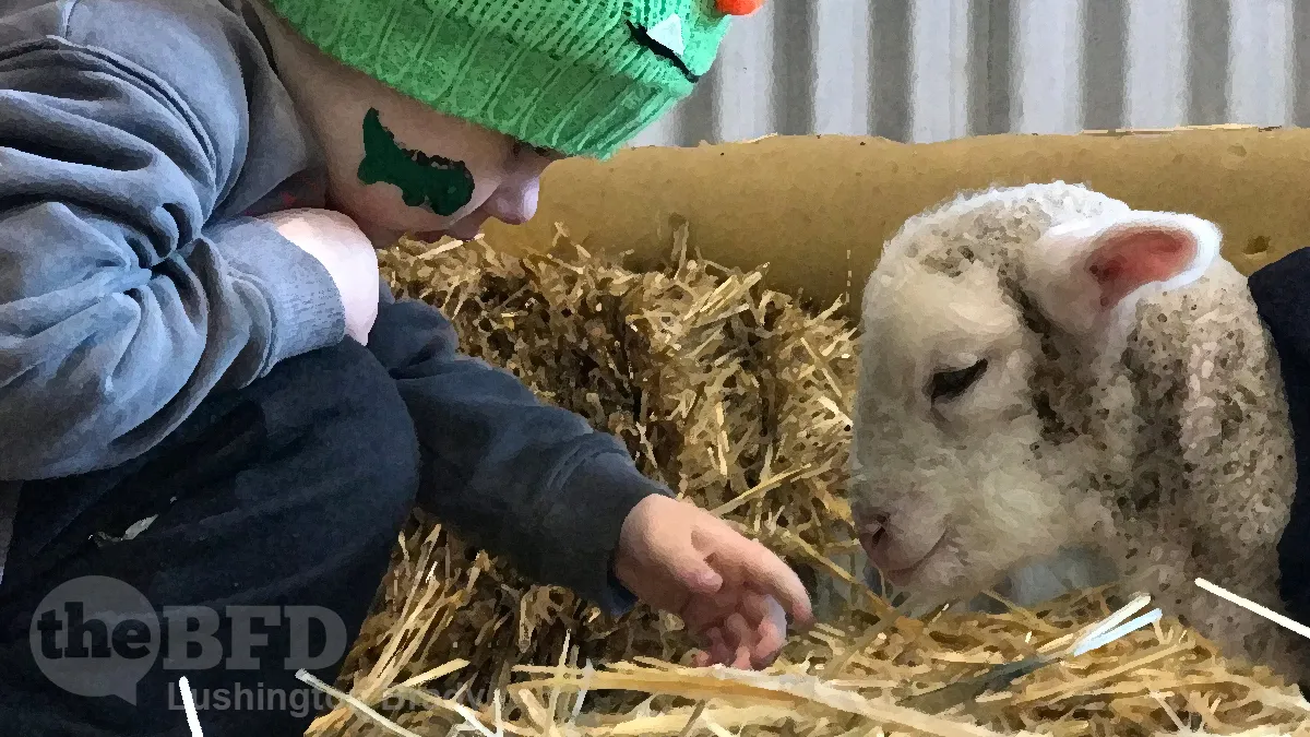 Will COVID Panic Kill off the Country Show?