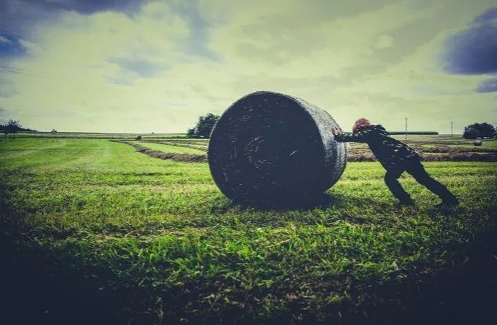 NZ Farmers Could Benefit from Playing the Long Game