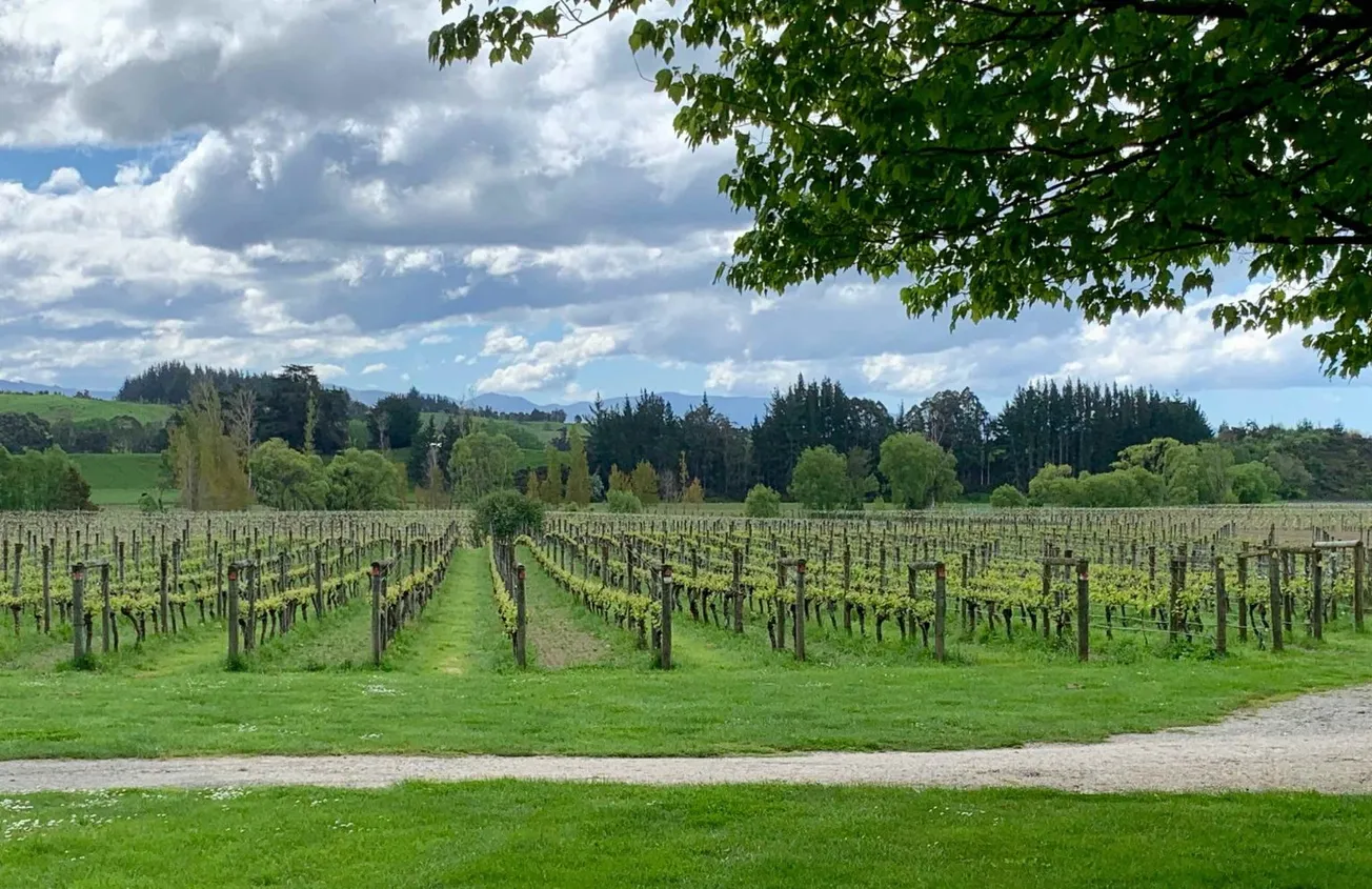 Why Are RSE Worker Numbers in Decline?