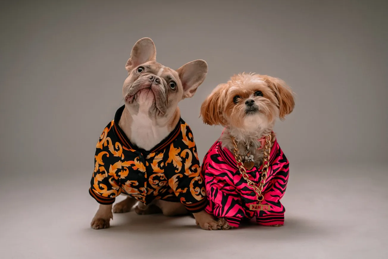 brown and white dog wearing pink and black polka dot dress