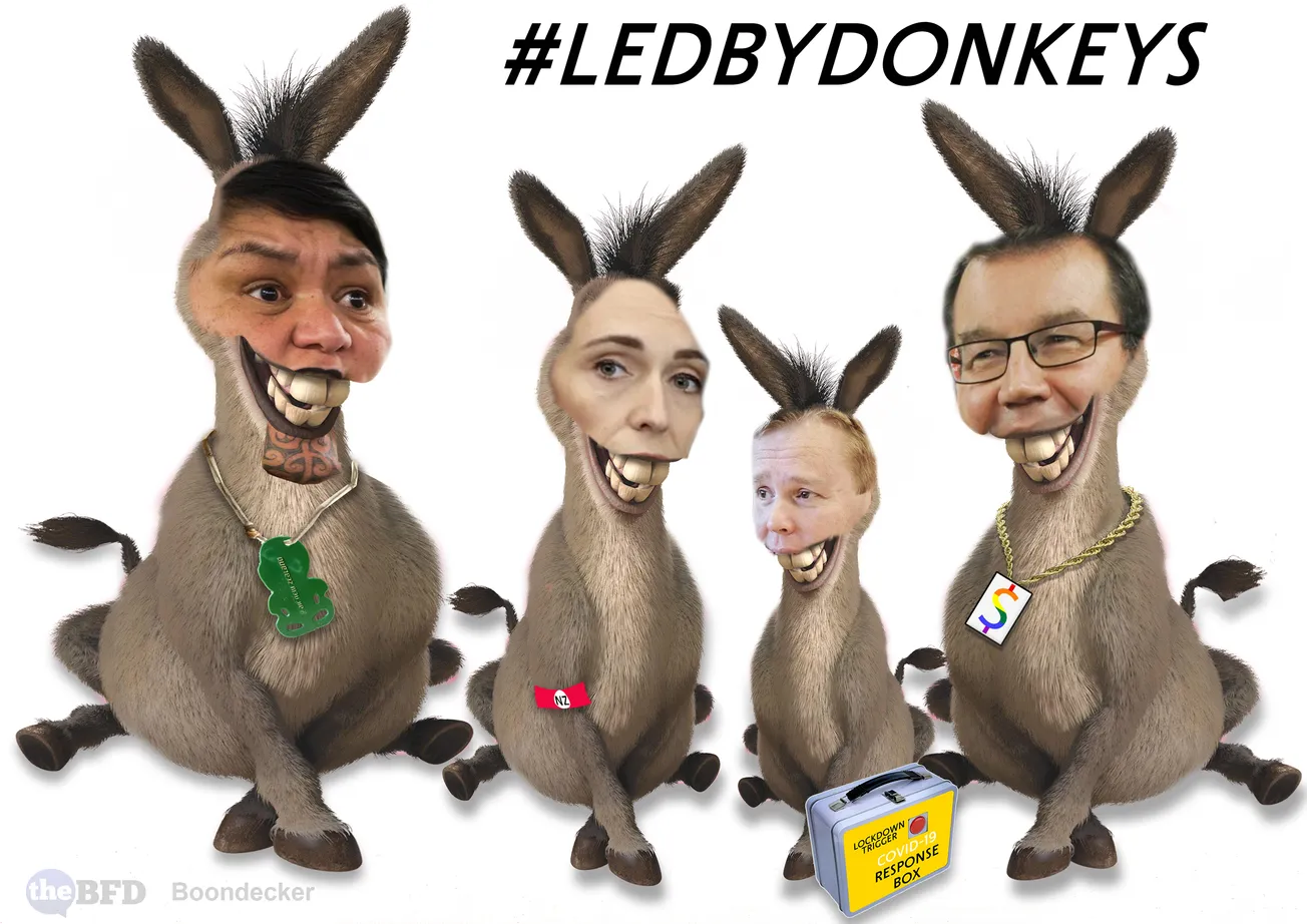 Led by Donkeys