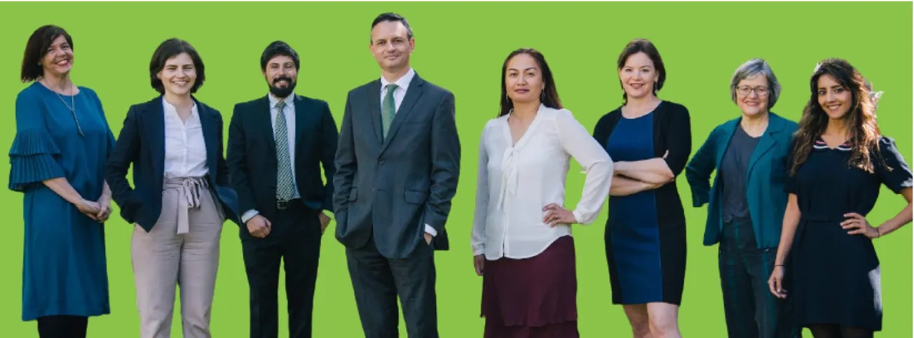 NZ’s Green Party Is ‘Filling the Void on the Left’