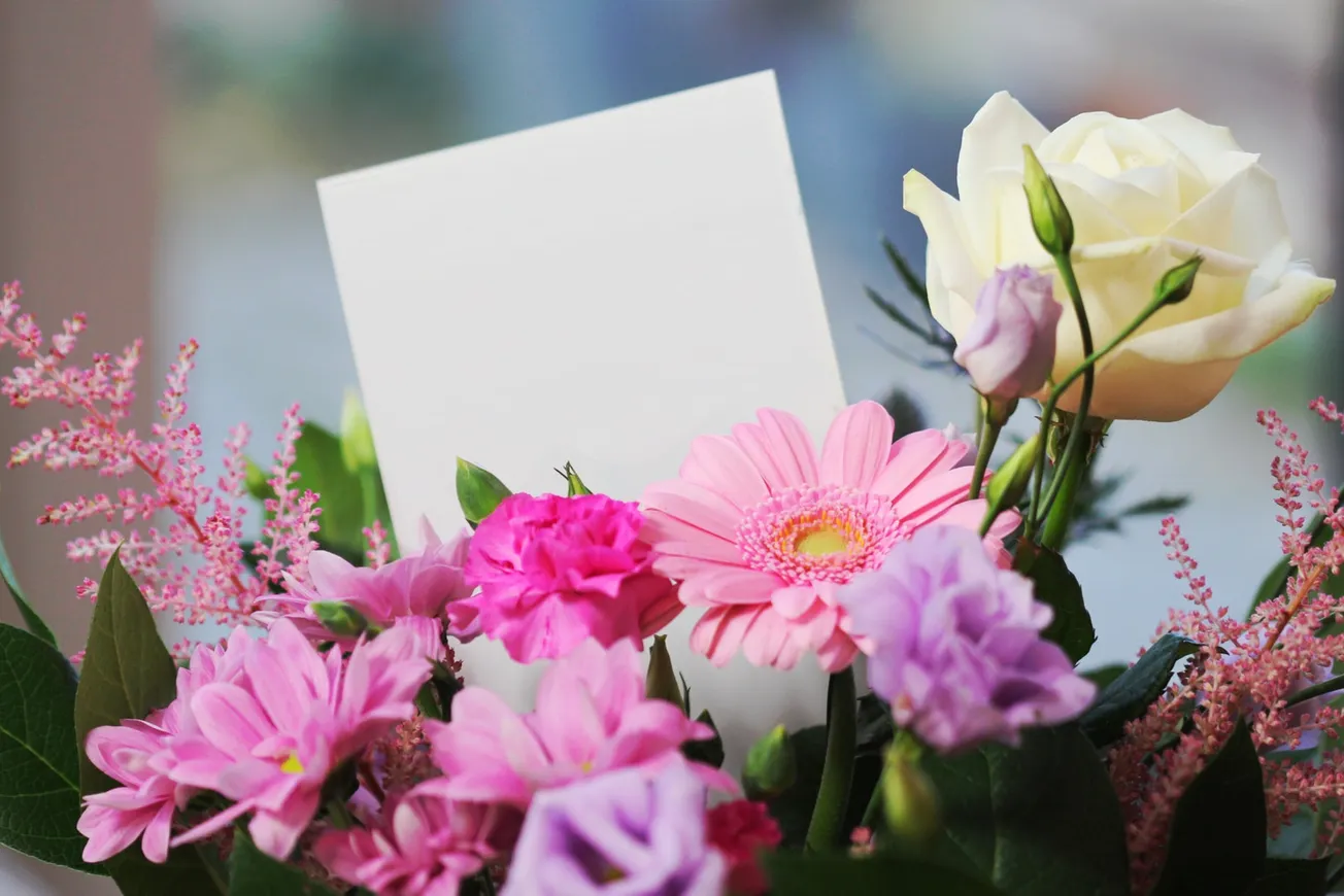 White Rose and Pink Daisy