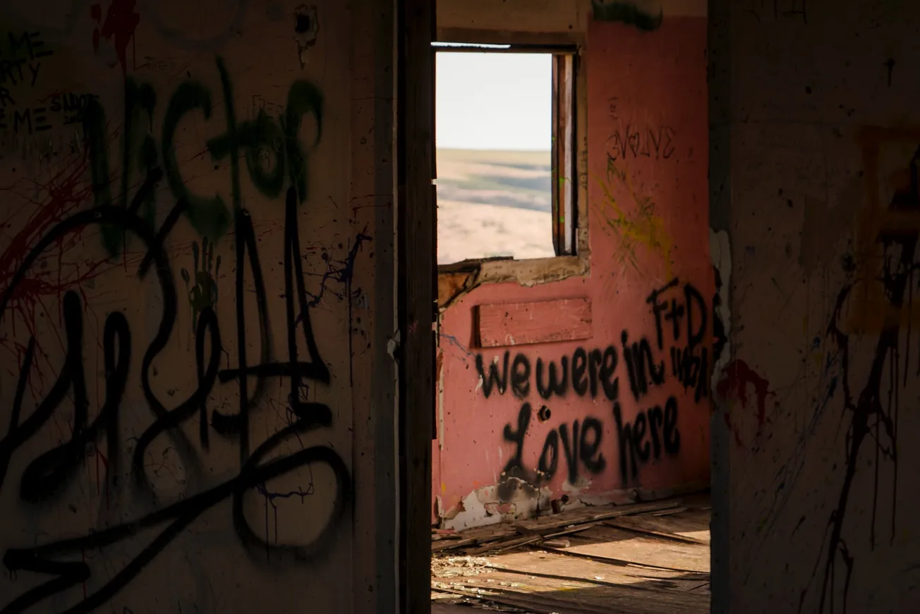 black vandals inside house