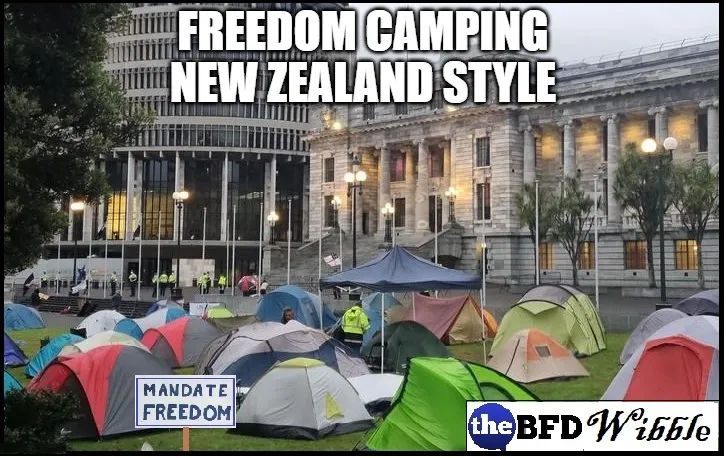 Freedom Camping