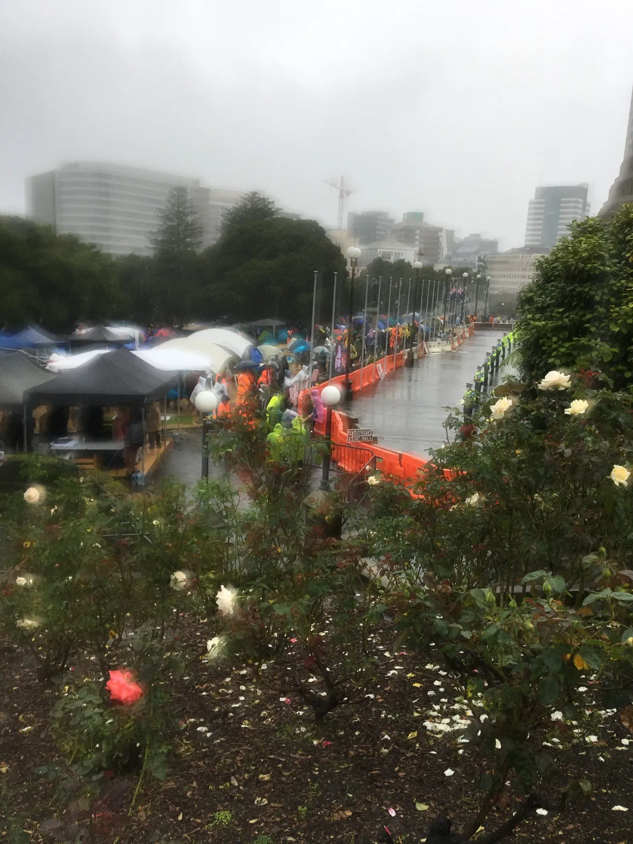 Goodwill in Tent City