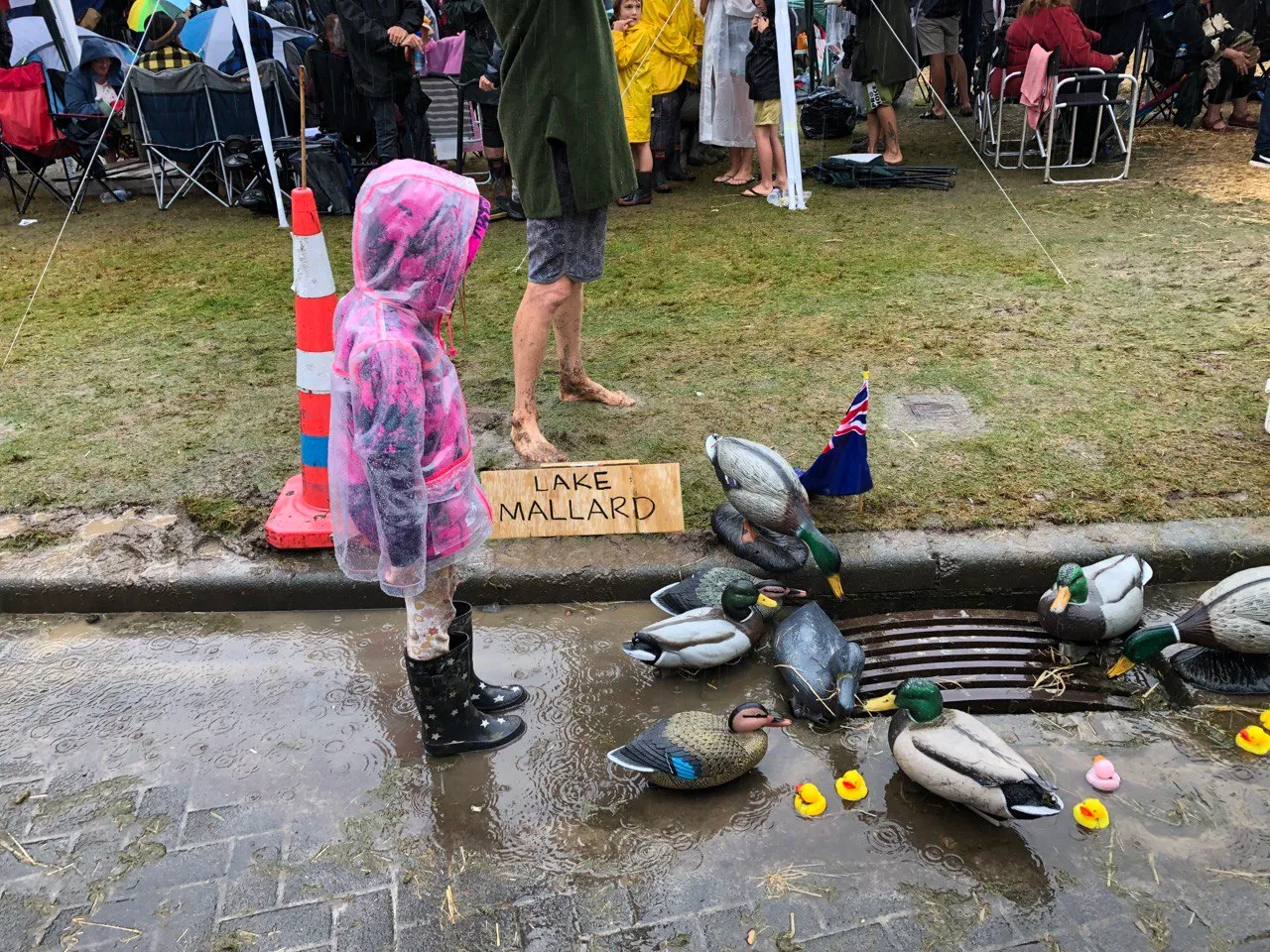 We Are Going on a Duck Hunt