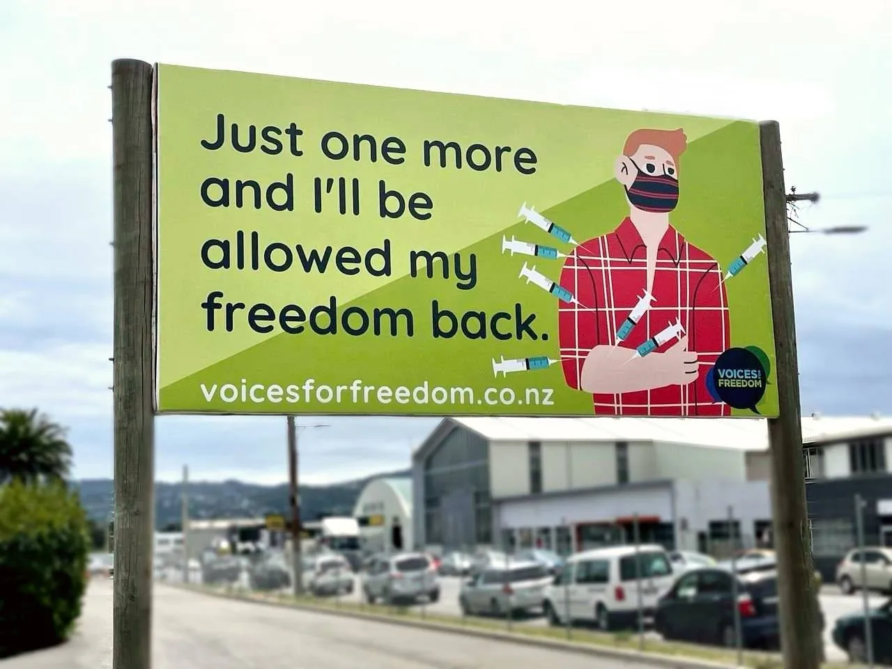 The Unexpected Success of the Vaccination Program