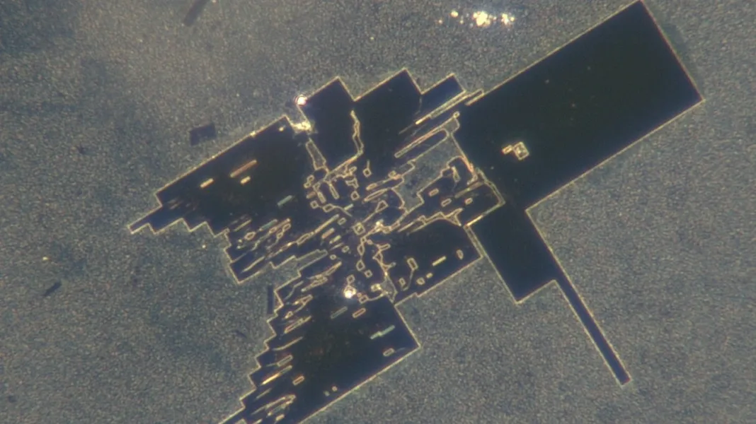 Wall of Silence From NZ Govt