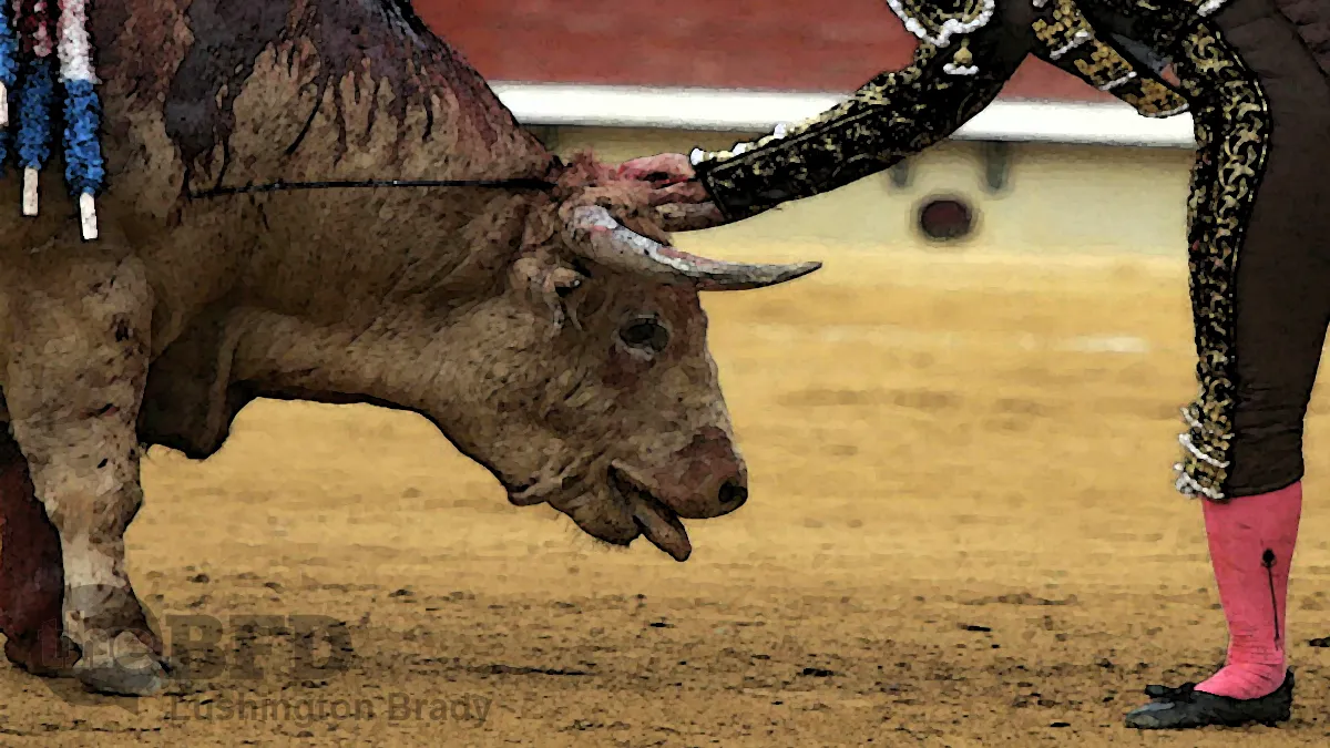 Mexico City Mulls Ban on Bullfights
