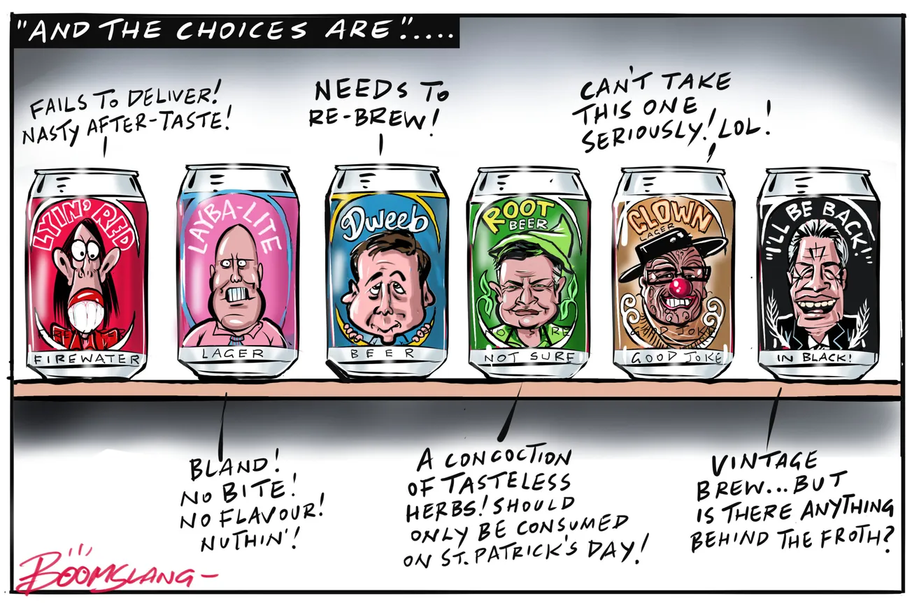 Access NZ’s Best Political Cartoons