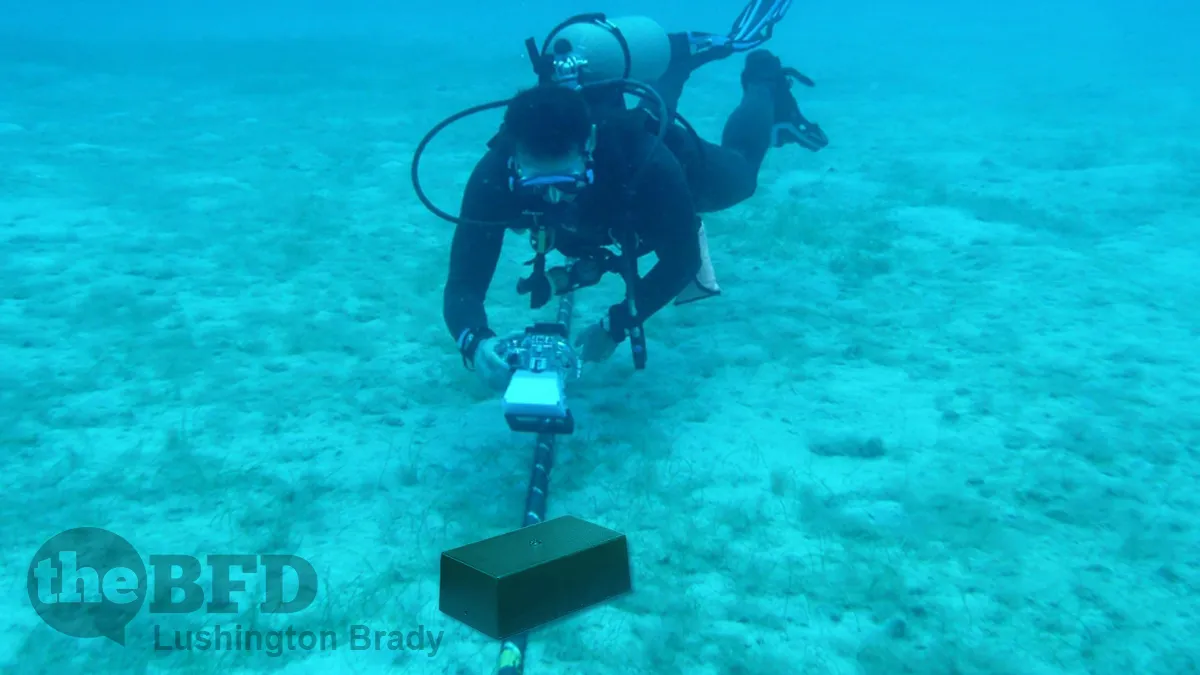 Cyber-Terror Is Not What You Think