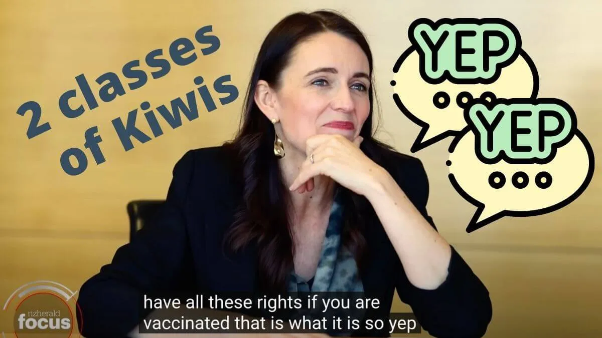 A Traffic Light That Divides People