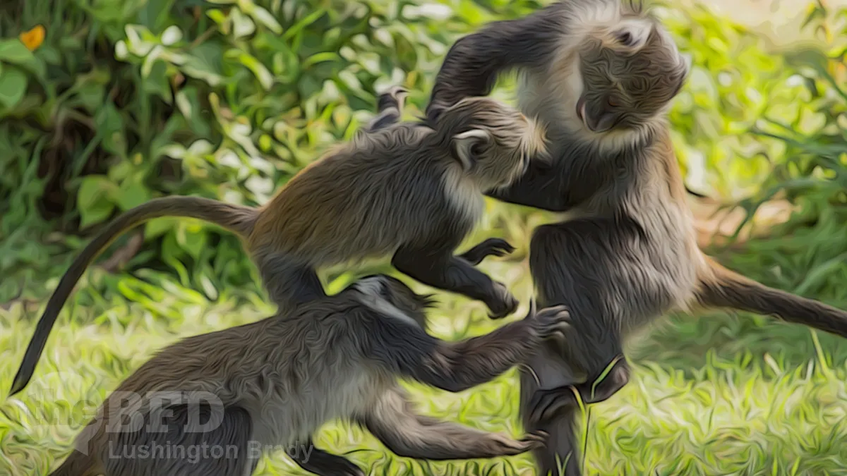 Get Your Earplugs Ready for Summer