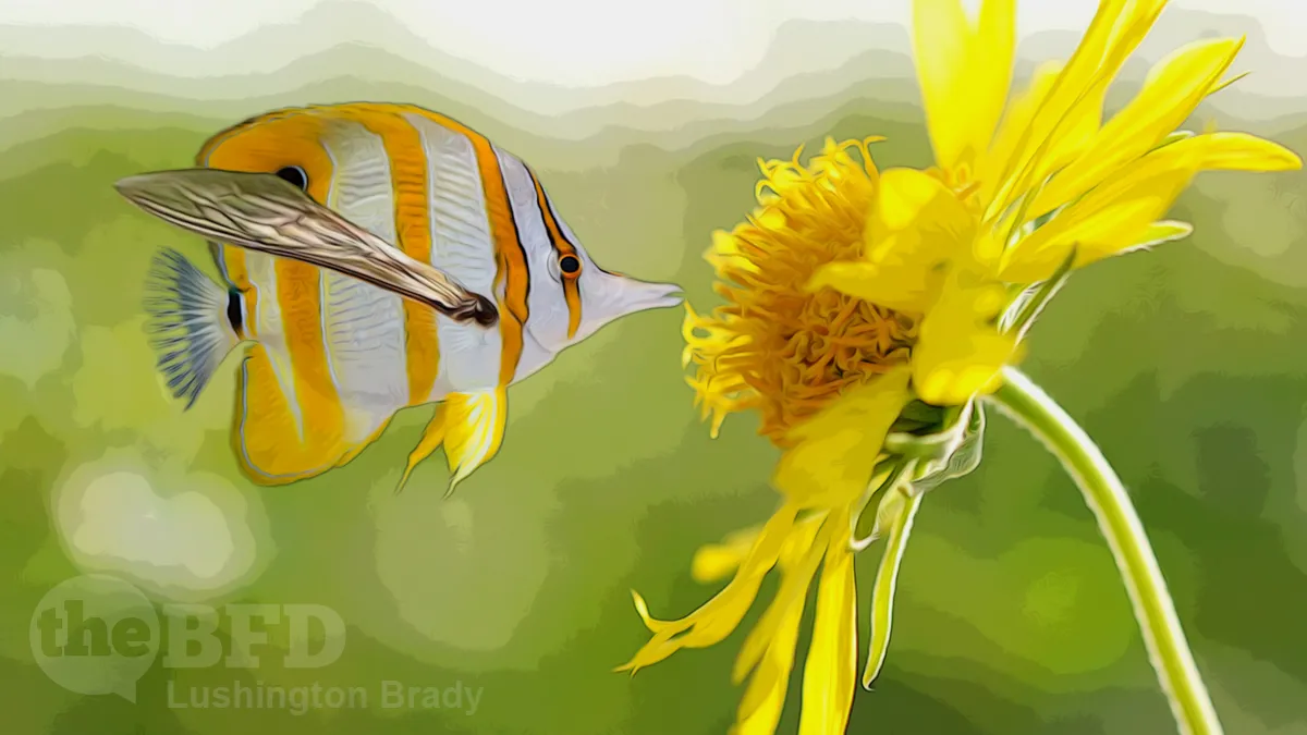 Women Have Penises and Bees Are Fish