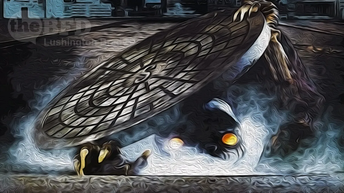 Aussie Media Lifts the Lid on Ardern