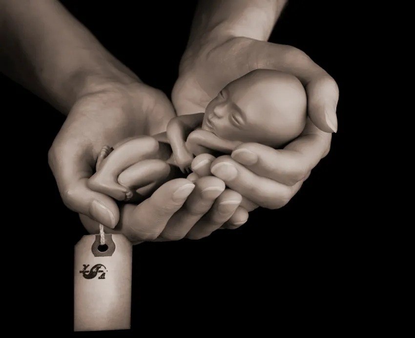 Abortions on the Increase in NZ