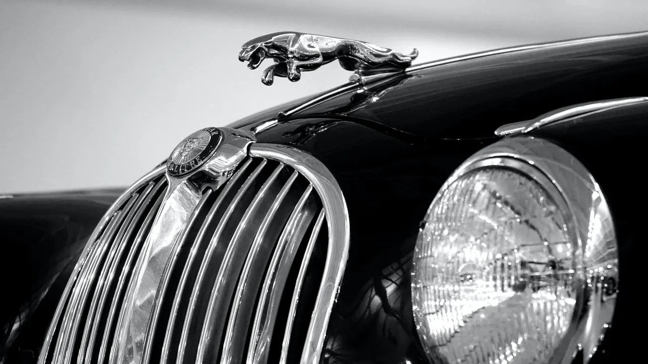 Jaguar Emblem on Black Car