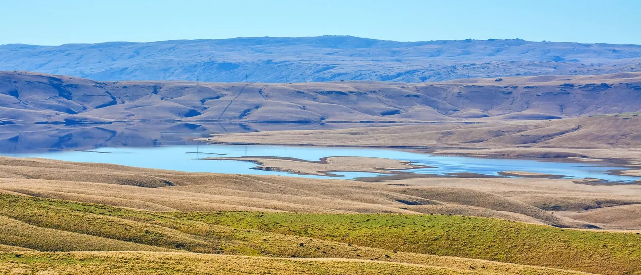 I Will Make a Fortune If This Goes Ahead