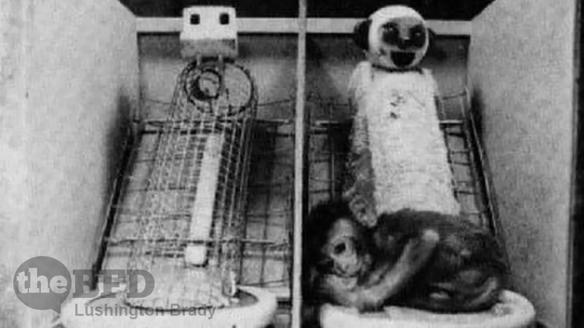 Horrors in the Name of “Science”