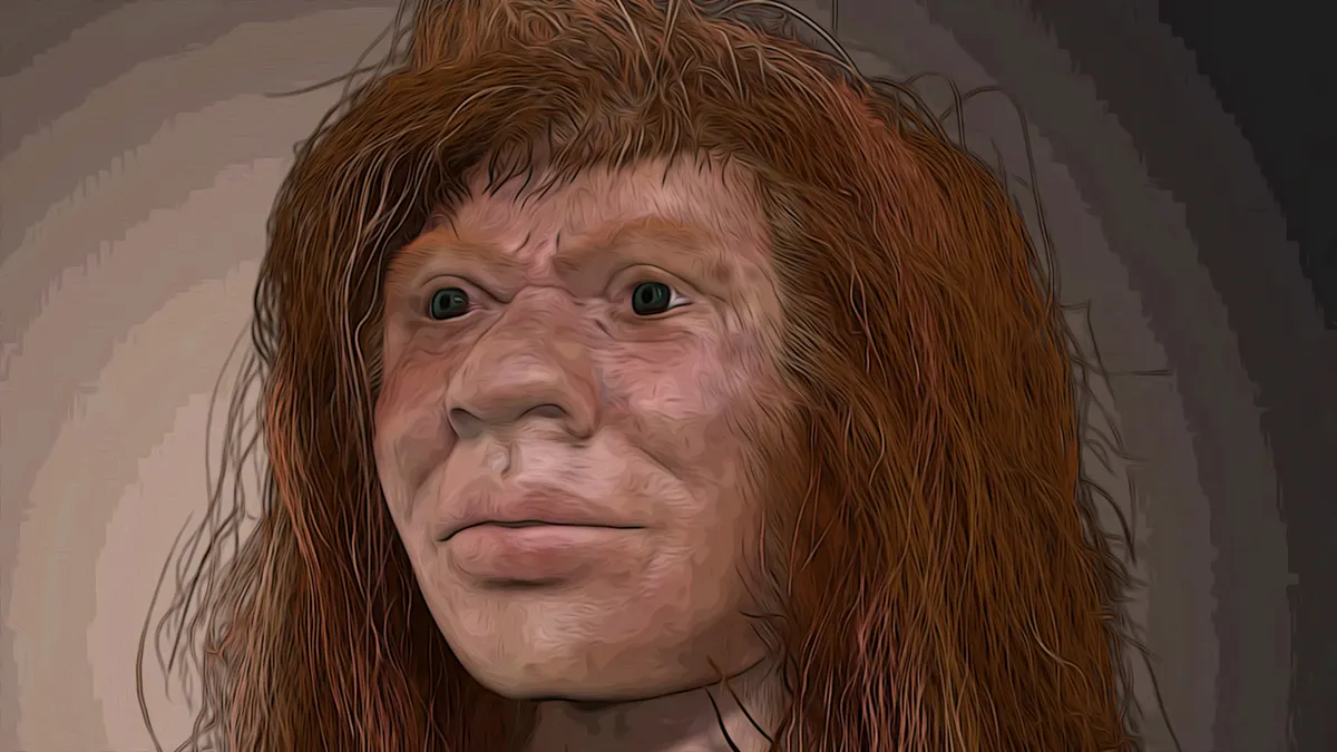 Whole Lotta Bonin’ Goin’ On