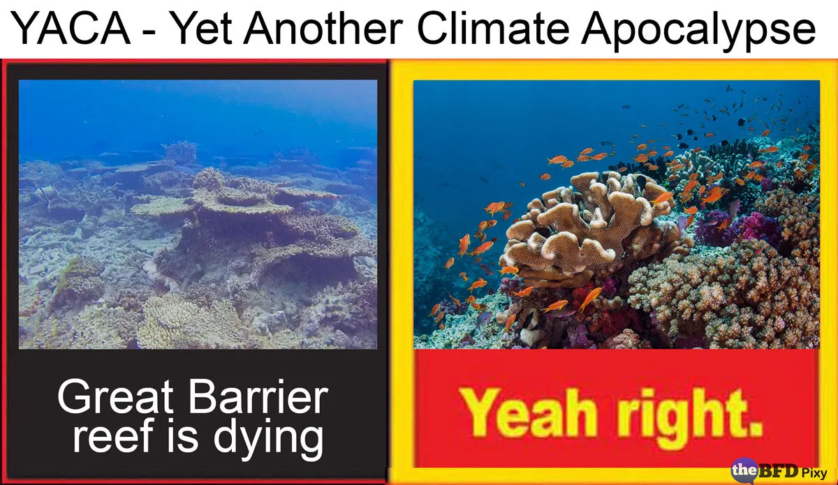 YACA Barrier Reef