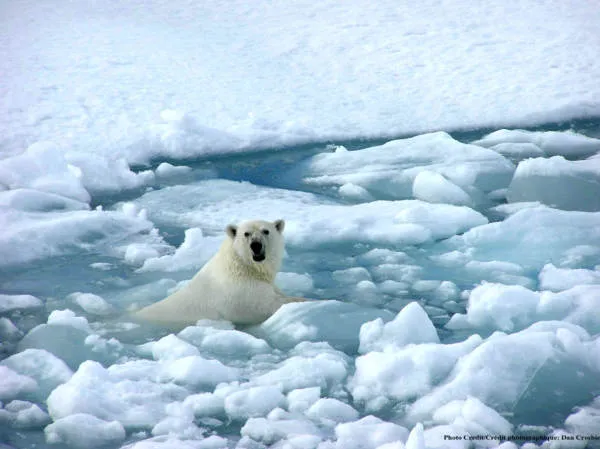 UN Reshuffles the Playbook for COP28