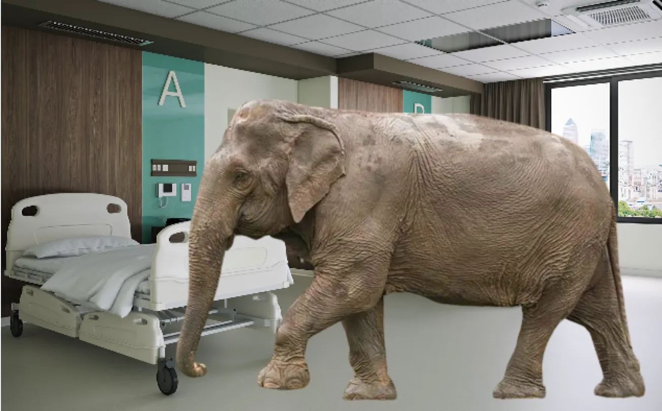 We Need to Talk about the Elephant in the Hospital Room