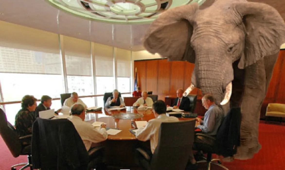 The Hydrocarbon Elephant in the Room